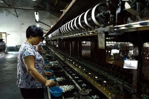 真丝面料全解析 种类、真伪辨别与洗涤保养指南